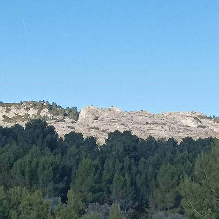 Chambre D'Hote Au Coeur Des Alpilles Mouries Eksteriør billede