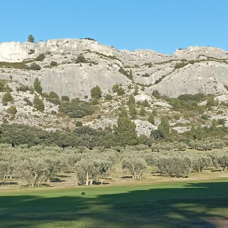 Chambre D'Hote Au Coeur Des Alpilles Mouries Eksteriør billede
