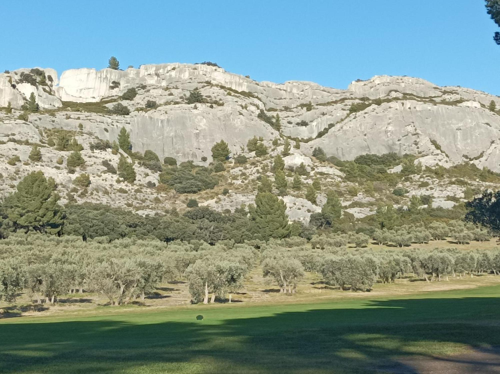Chambre D'Hote Au Coeur Des Alpilles Mouries Eksteriør billede